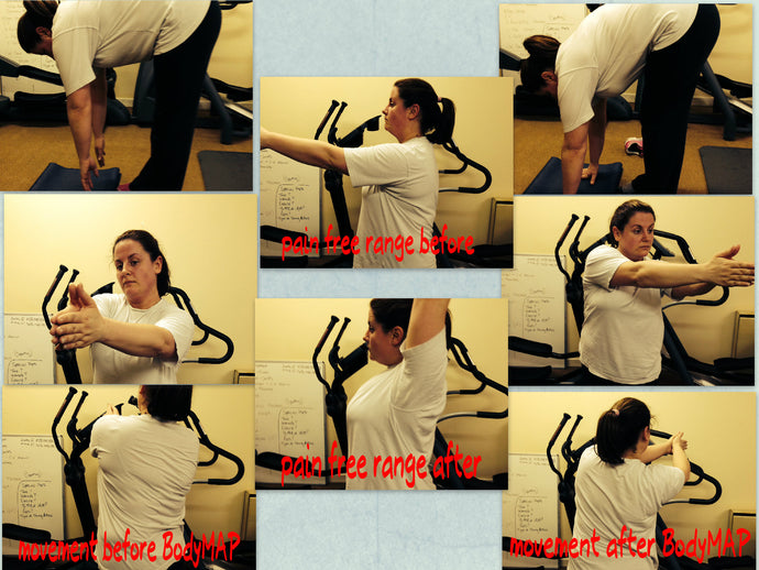 BodyMAP